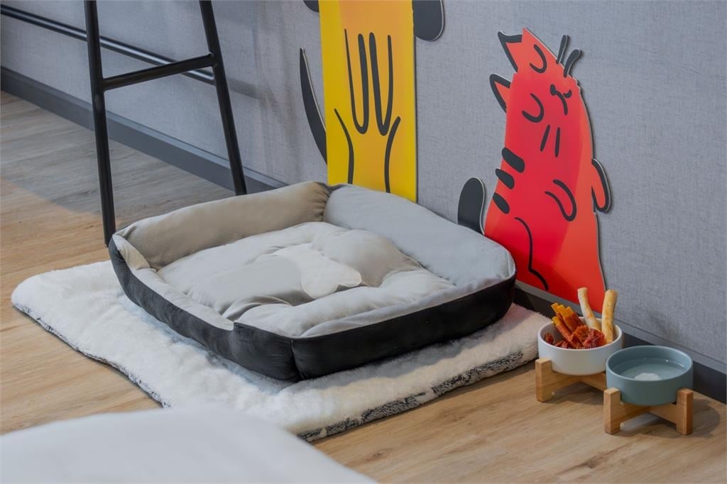 帶著毛孩一起睡!福容嘉義店「萌寵網美牆」超吸睛…墾丁店Villa3月買1送1