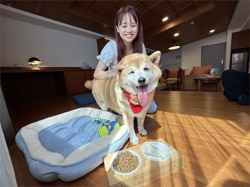 帶著毛孩一起睡!福容嘉義店「萌寵網美牆」超吸睛…墾丁店Villa3月買1送1