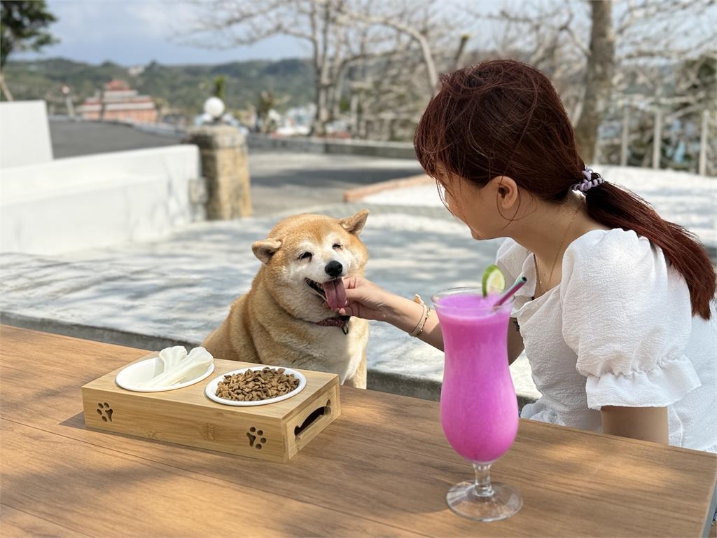 帶著毛孩一起睡!福容嘉義店「萌寵網美牆」超吸睛…墾丁店Villa3月買1送1