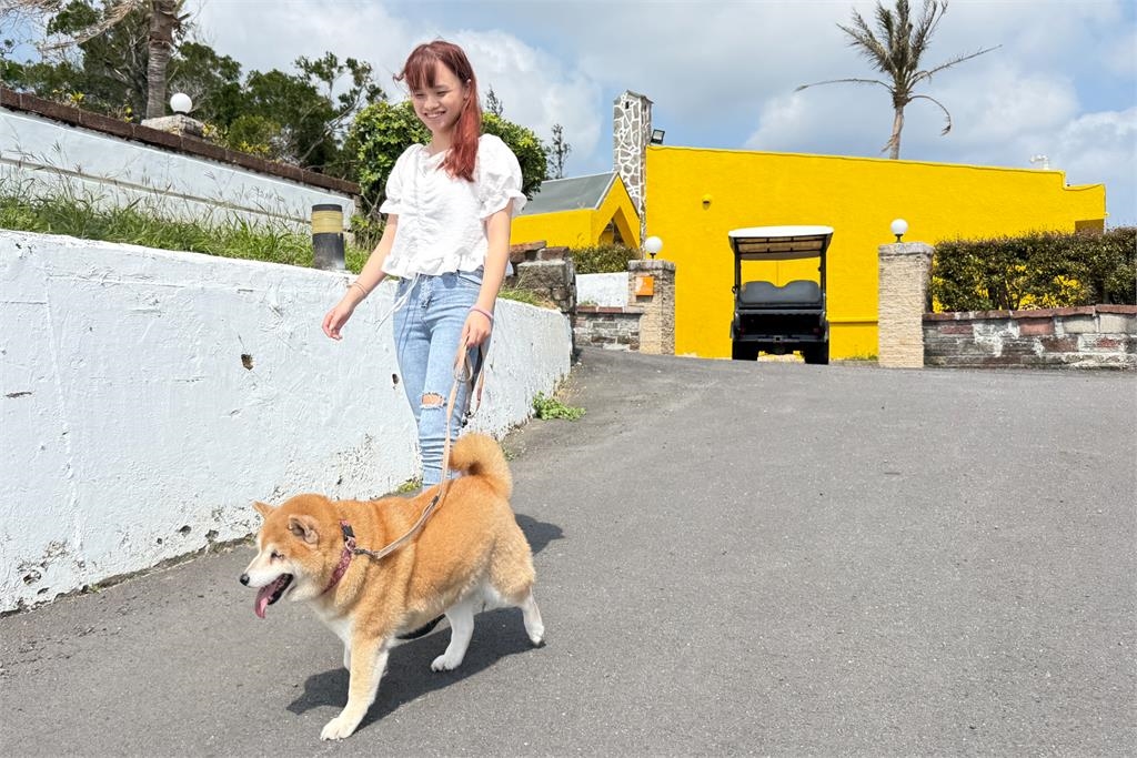 帶著毛孩一起睡!福容嘉義店「萌寵網美牆」超吸睛…墾丁店Villa3月買1送1