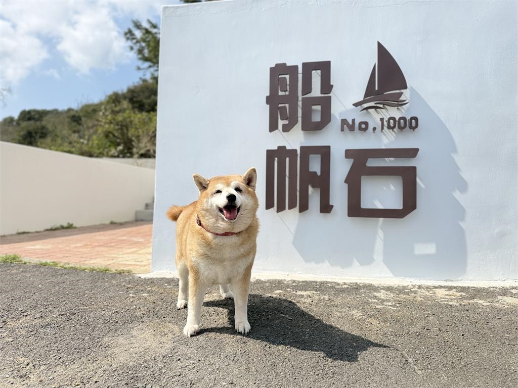 帶著毛孩一起睡!福容嘉義店「萌寵網美牆」超吸睛…墾丁店Villa3月買1送1
