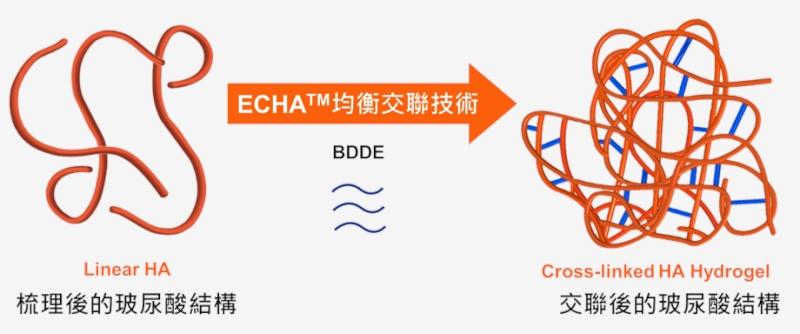 不輸歐美一線品牌！台灣「眼周微整」技術揚名國際，俄醫師也慕名訪台
