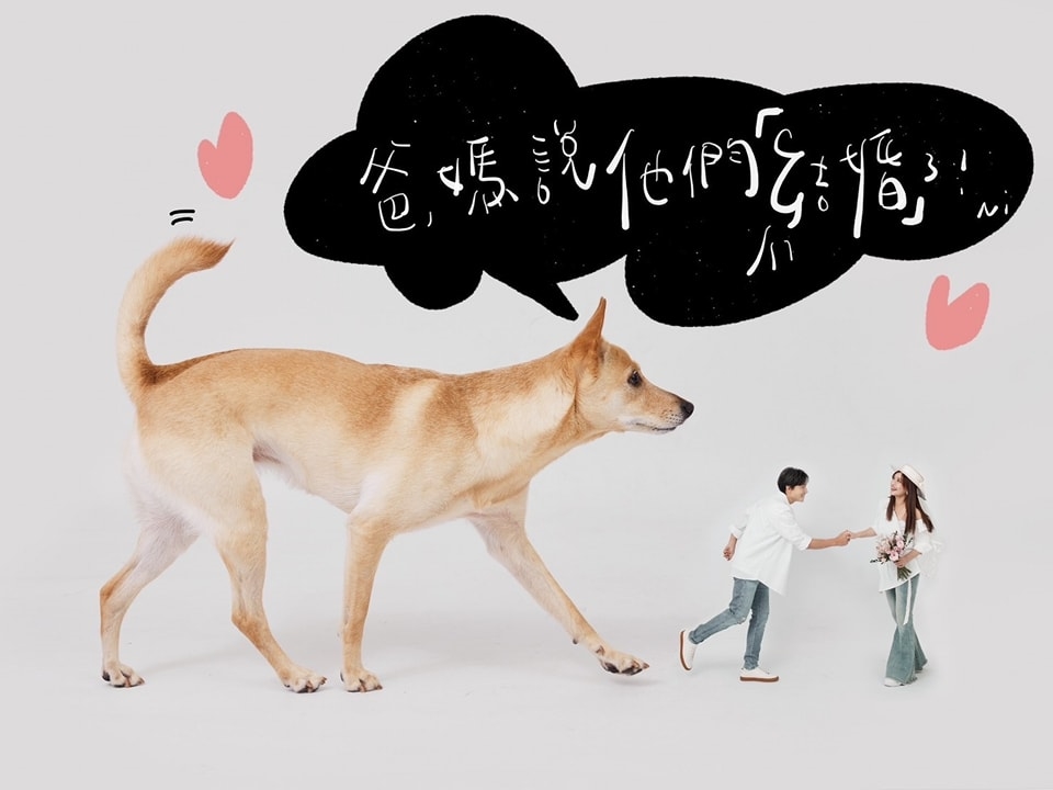 孫協志夏宇童結婚震撼彈!低調6年「突亮一家三口照」:不再只是好朋友