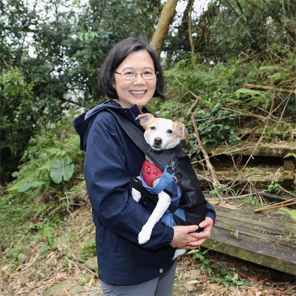 北榮治療犬「歐巴」將退休 小英自備牛肉乾探視慰勞