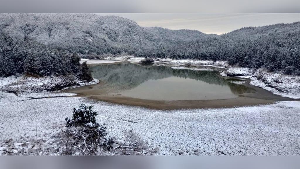 冷氣團影響！太平山再現「霧淞美景」　整座山頭披上白色雪衣