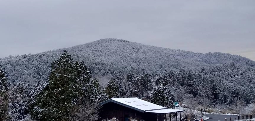 快新聞／冷氣團影響！太平山再現「霧淞美景」　整座山頭披上夢幻雪衣