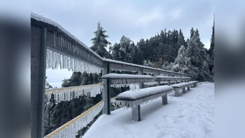 低溫挾水氣！合歡山3月「11.5公分」積雪未退　銀白美景曝光