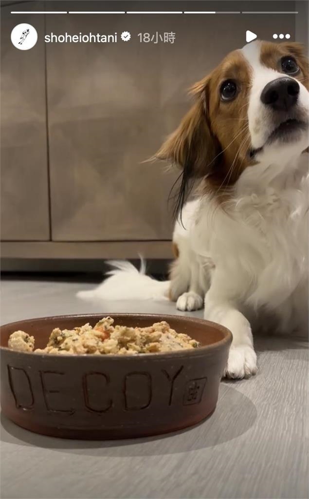 MLB／被棒球耽誤的陶瓷藝術家？大谷翔平曬好友山本由伸貼心禮