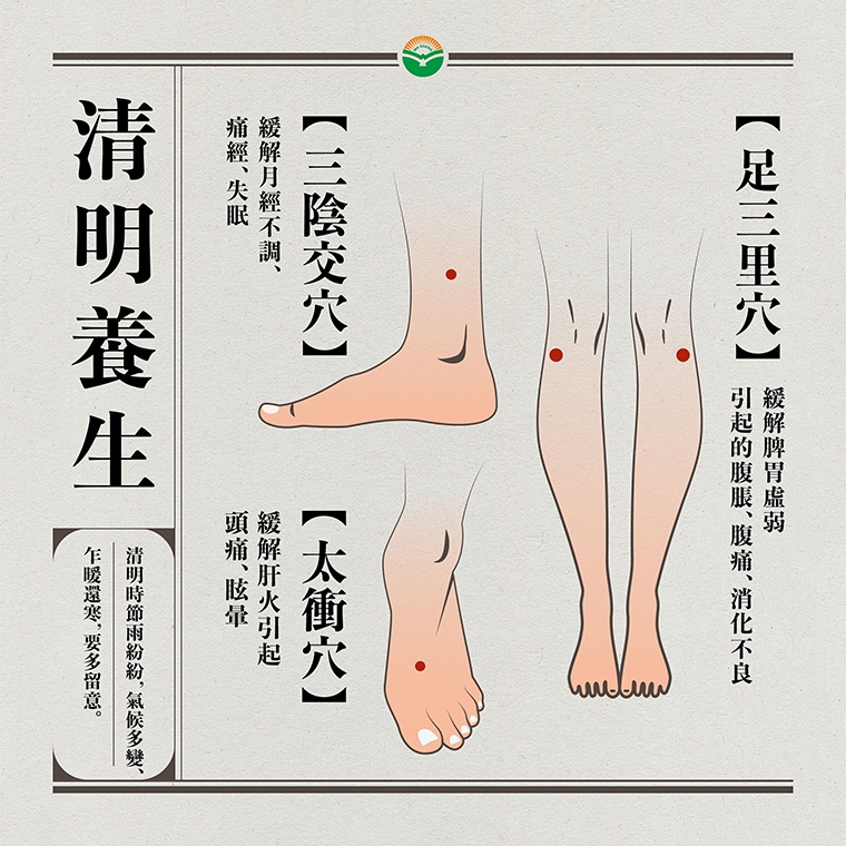 清明時節易受外邪侵襲 中醫師推薦2食補、3穴位健脾胃