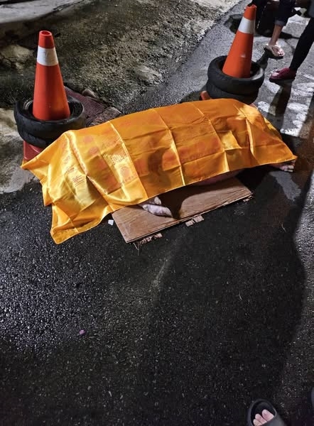 竹市明星豬遇車禍慘死街頭引熱議　飼主卻遭批：養當寵物為何不牽繩