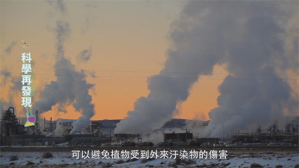 恢復土壤原貌維護健康 達到永續農業