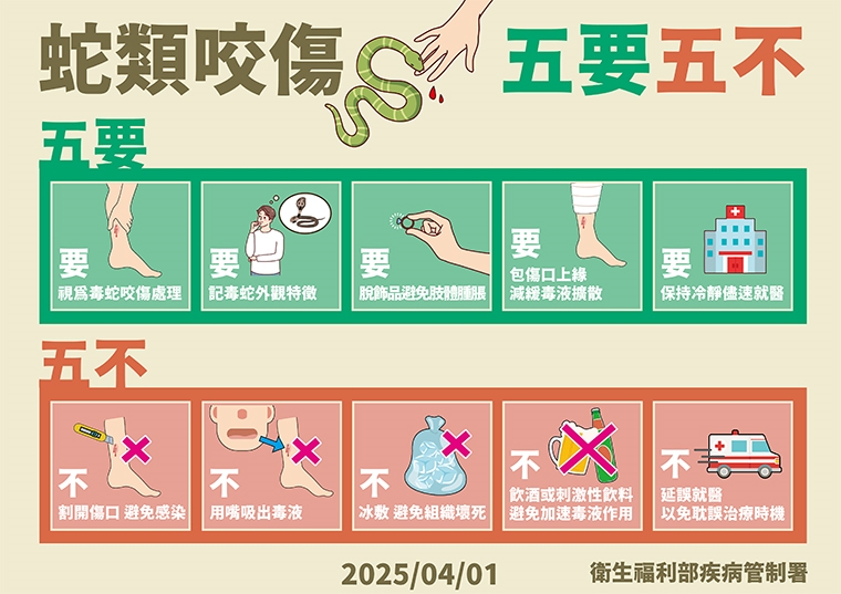 野外樹叢草堆千萬要打草驚蛇 被毒蛇咬傷謹記救命原則