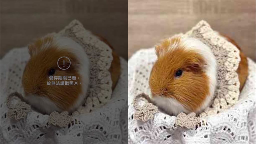 LINE照片「過期無法儲存」怎辦?內行人曝「1招」解套法…實測有用!