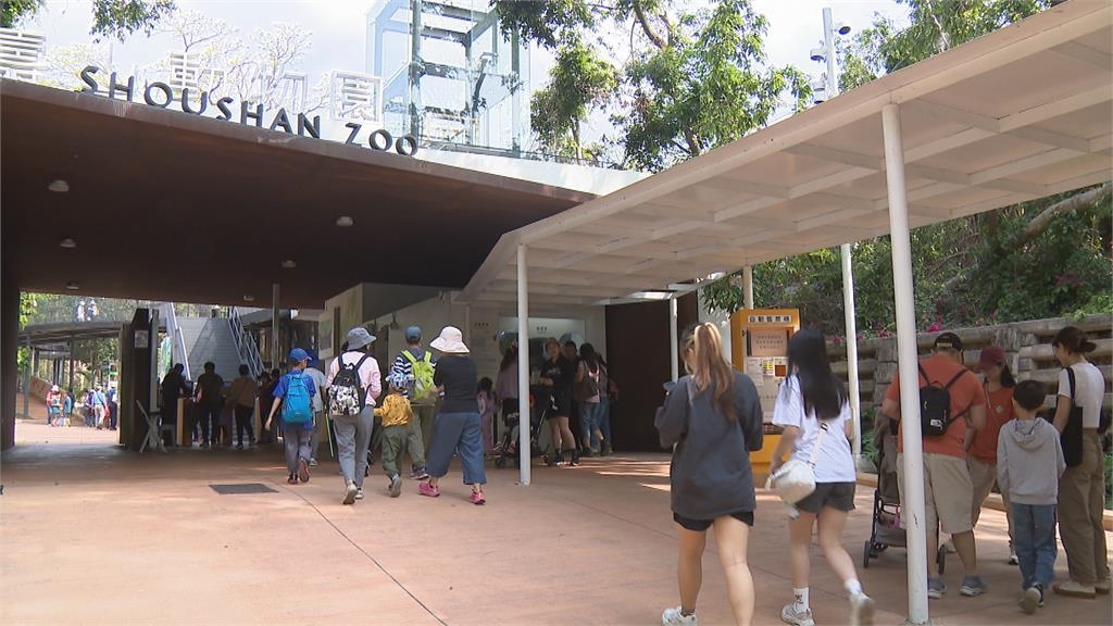5.5億改建後竟太熱?壽山動物園挨批毛都吹光…議員建議搬去茂林