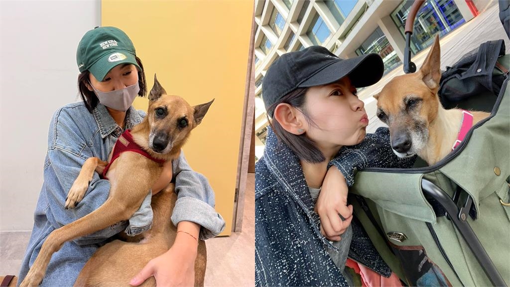 米可白「20天急砸9萬」救愛犬！哀嘆「這1句」全網心酸了：一定是捨不得