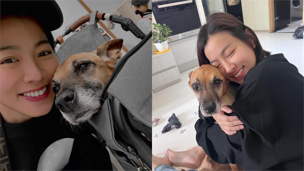 米可白「20天急砸9萬」救愛犬！哀嘆「這1句」全網心酸了：一定是捨不得