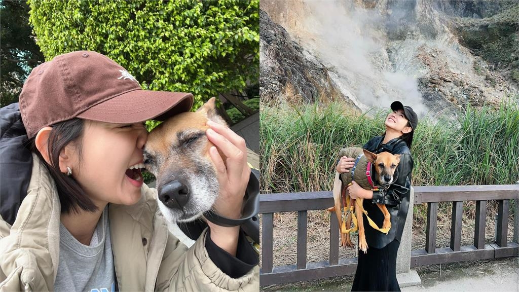 米可白「20天急砸9萬」救愛犬！哀嘆「這1句」全網心酸了：一定是捨不得