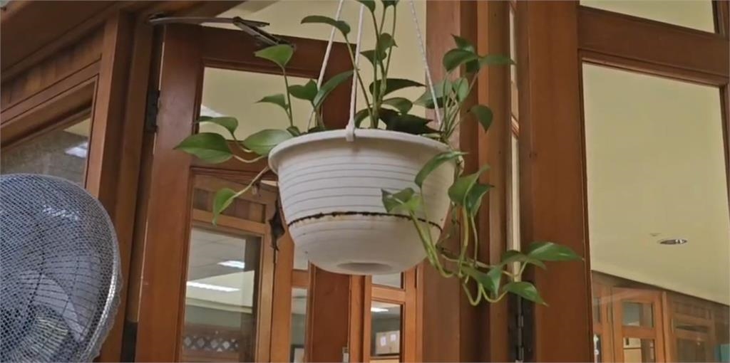 快新聞／09:53規模5.8地震！宜蘭震度達4級　盆栽、水缸「晃超大」畫面曝