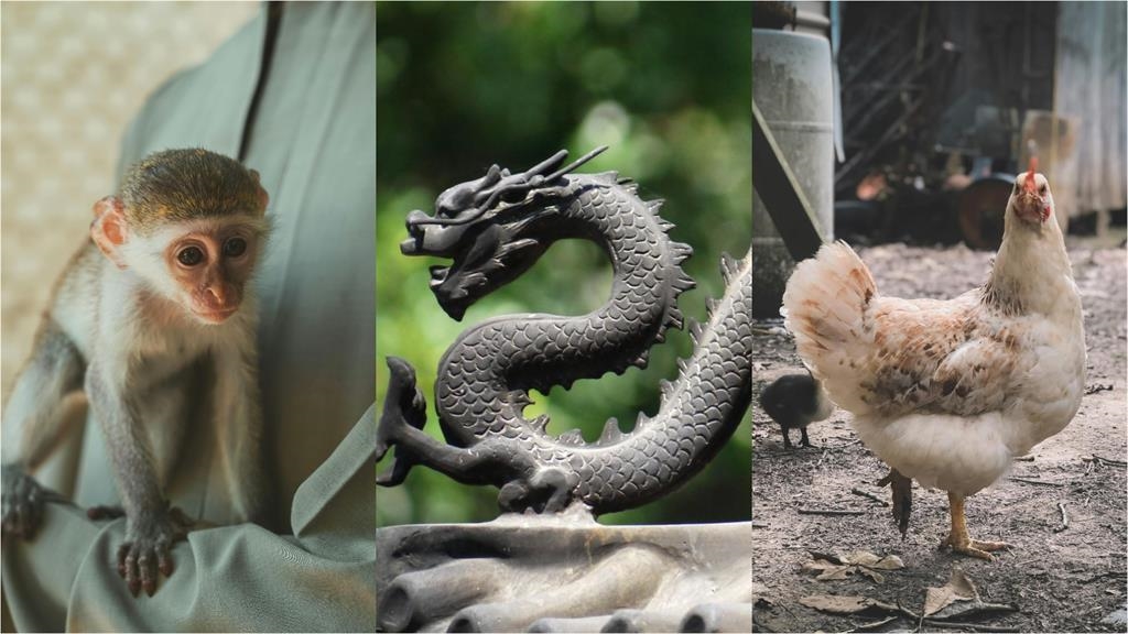 土地婆聖誕備「3供品」滅小三最靈驗 專家曝下半年「3生肖」運勢沖天!