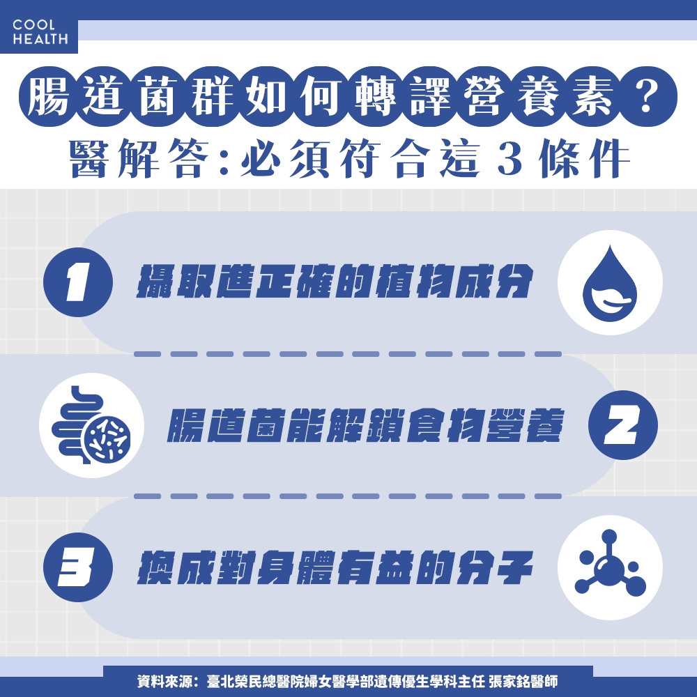 保健品吃一堆身體卻無感? 醫:「腸道菌叢」沒養好,買再多瓶瓶罐罐都沒用