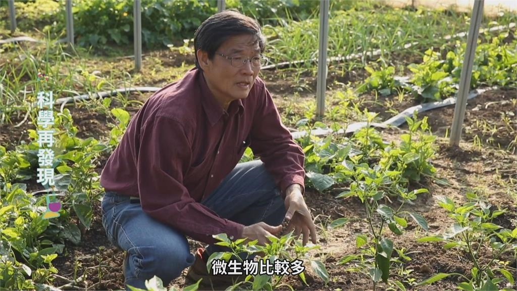 台灣七成土壤成酸性　鹼性肥料成解方