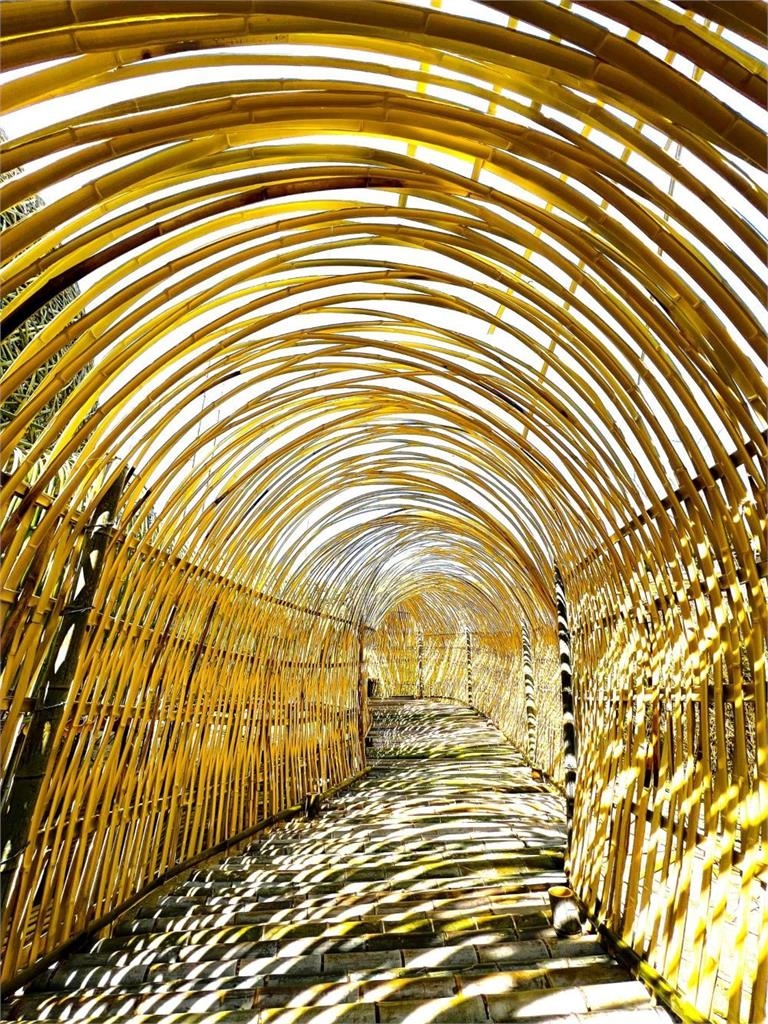 快新聞/文化外交新名片!瀨戶內國際藝術祭 台灣藝術家創作「日媒列必看作品」