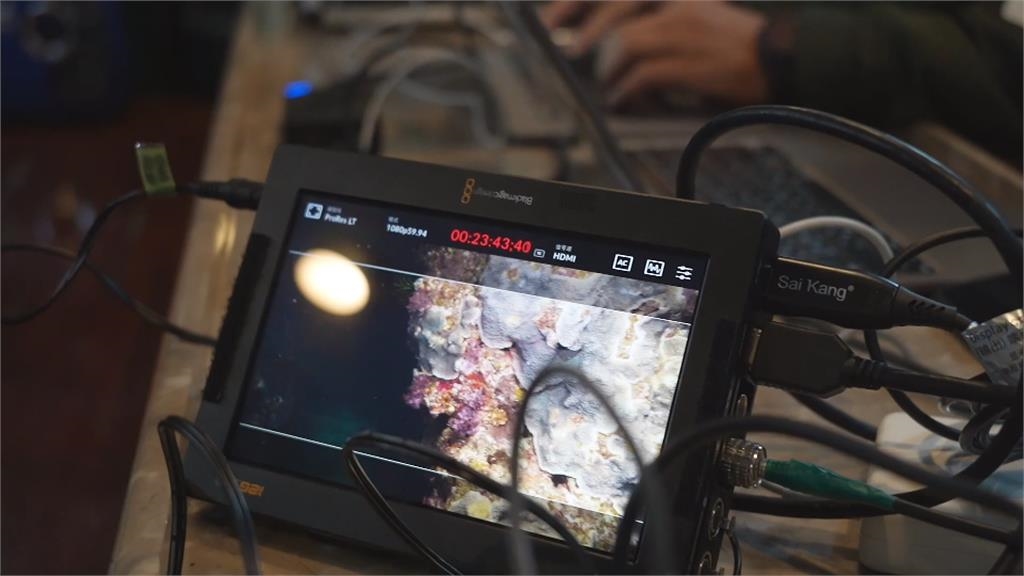 珊瑚產卵季開始　墾丁漆黑海底變粉紅色星空