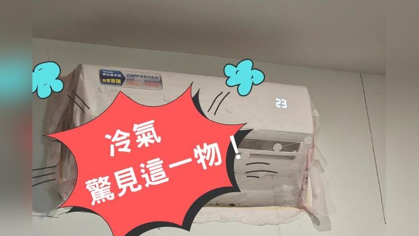 租屋處冷氣一開竟狂下「蟑螂雨」！屋主不信苦主崩潰：哭到去收驚