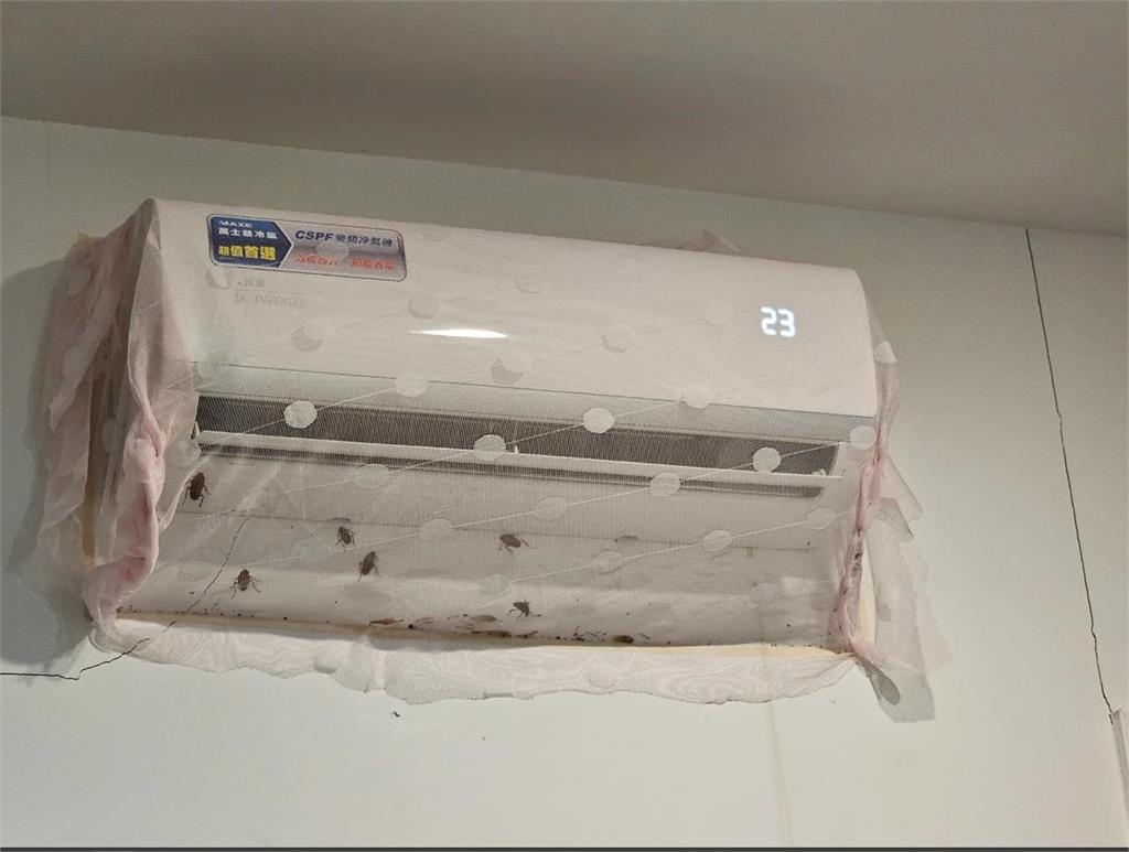 租屋處冷氣一開竟狂下「蟑螂雨」!網友崩潰:哭到去收驚