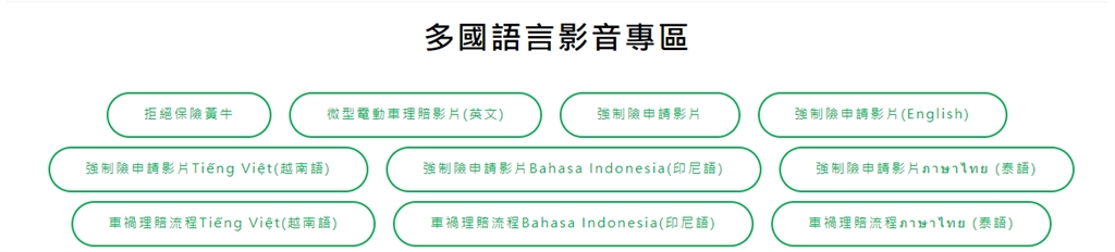 國泰產險推多語理賠短影音及申請書　保障外籍保戶權益！
