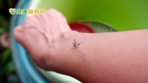 防範登革熱!台南新規定「查到孑孓直接開罰」 快清除孳生源護健康、荷包