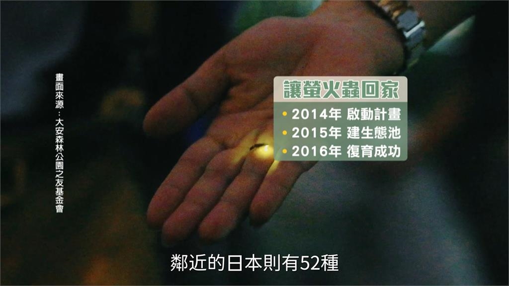 螢火蟲季親子音樂會大安森林公園登場　聲樂家簡文秀領唱守護火金姑