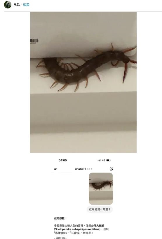 冷氣鑽出「超巨型」蜈蚣長老!「半截Say Hi」畫面網嚇壞:快比鴿子大了