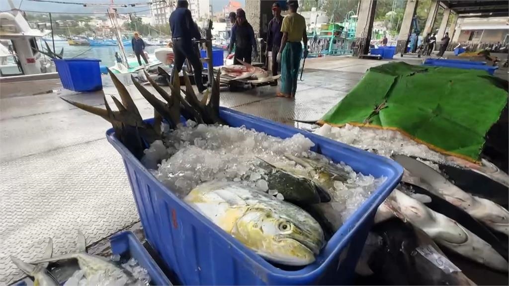 保護農漁民免於關稅威脅　綠委籲設「國際推進方案」