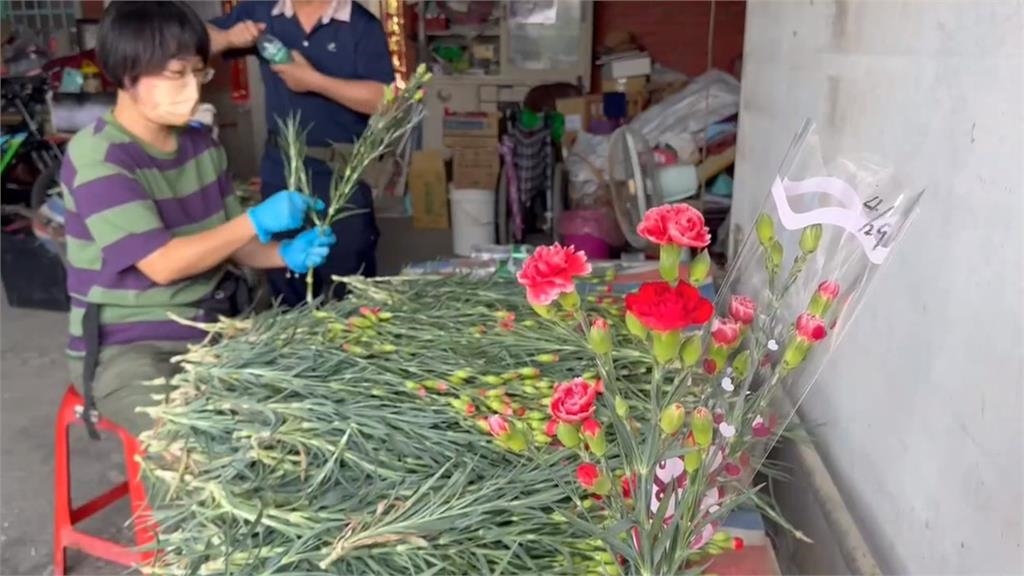 春季低溫日太多康乃馨生長緩慢　產地價飆漲三成1支15元