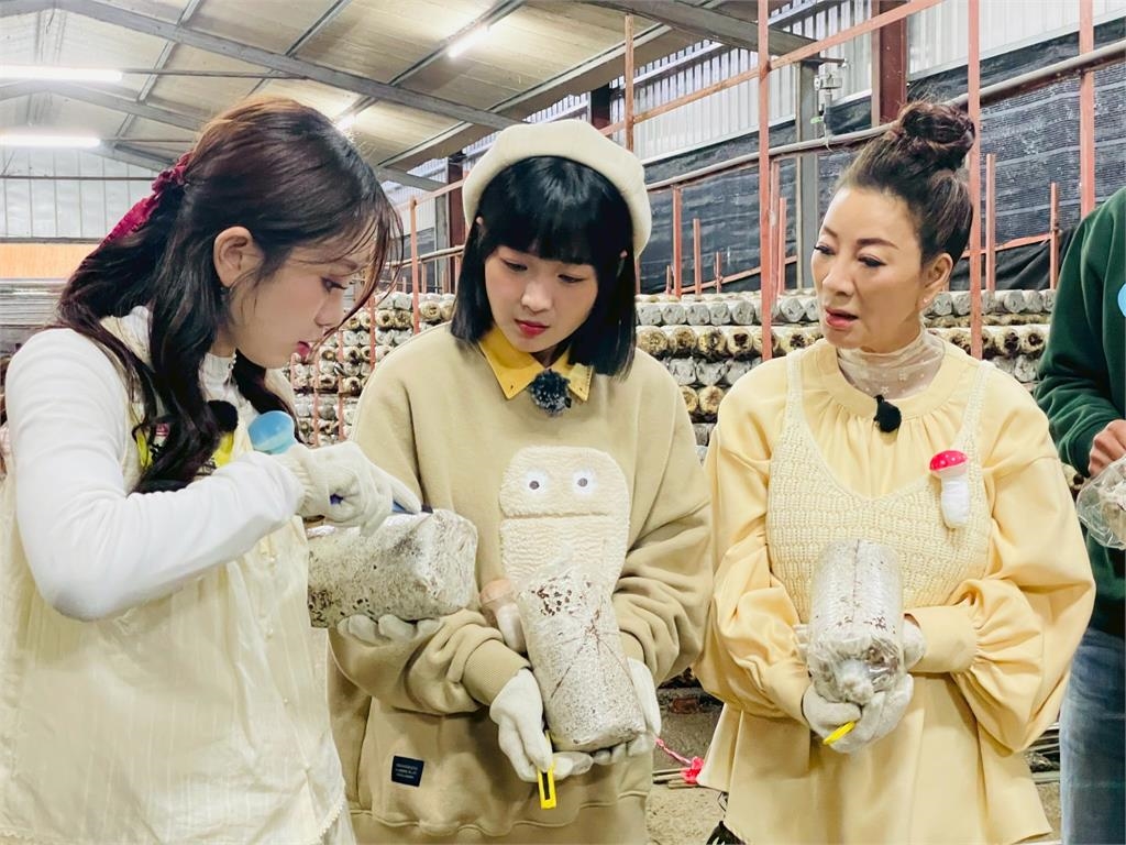 《綜藝新時代》體驗百菇職人要去「逛包」楊繡惠超興奮！到現場怒喊「想被打得滿頭」