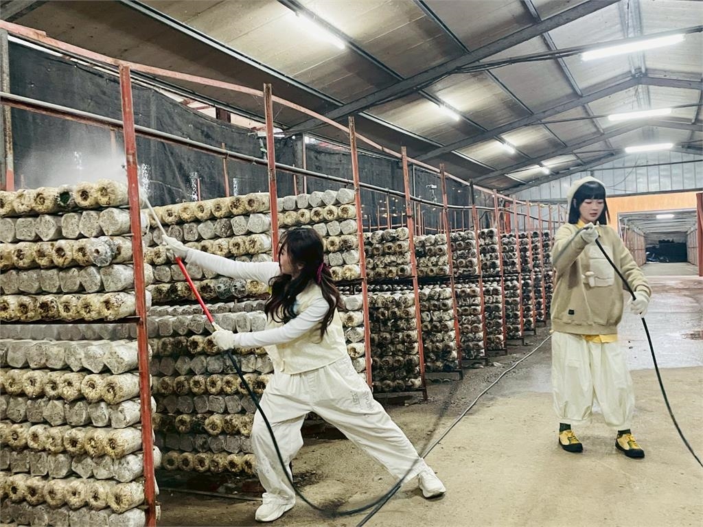 《綜藝新時代》體驗百菇職人要去「逛包」楊繡惠超興奮！到現場怒喊「想被打得滿頭」