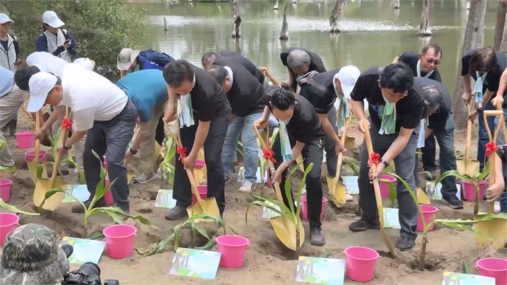 中華電信投入千萬８年認養造林計畫　邀羽球球后戴資穎一起植樹