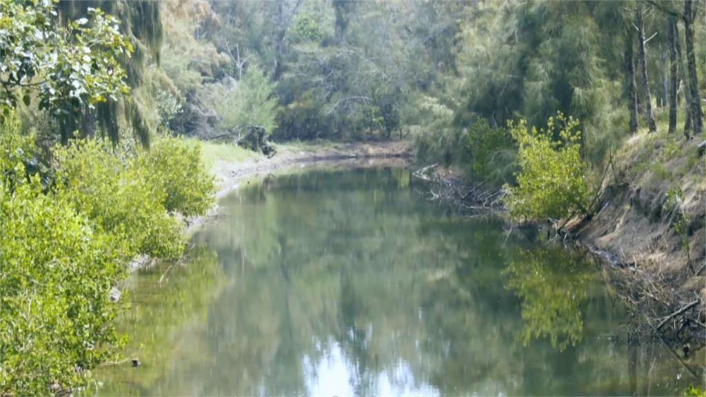 中華電信投入千萬８年認養造林計畫　邀羽球球后戴資穎一起植樹