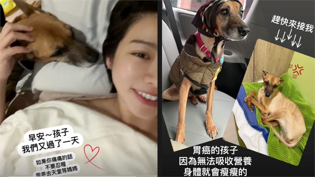 《好運來》米可白夜會黑衣男！正面視角全被拍「標記他IG」甜喊：小幸福