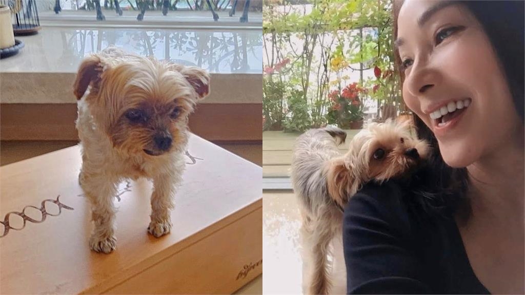 陳美鳳「居家服洗太薄」拉筋全現形！雙手上抬炸出「SSR起伏」網瘋：好自律