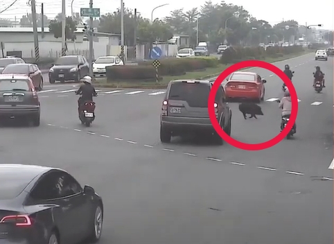 「遲到山豬」闖紅燈衝國小 驚險17秒畫面曝光…網笑:牠有課表?