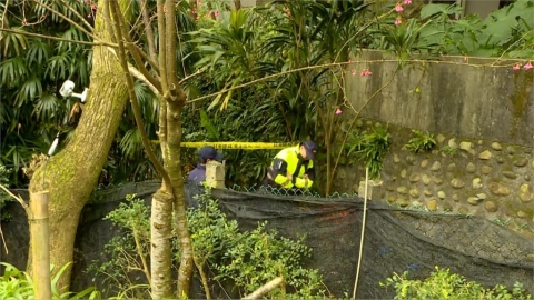 林葉亭失智父悲劇　醫揭三部曲防止一去不回