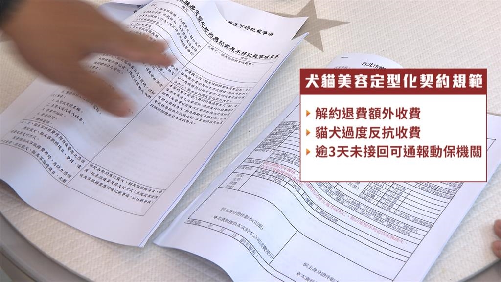 犬貓美容定型化契約上路！　三天未接回可通報動保機關