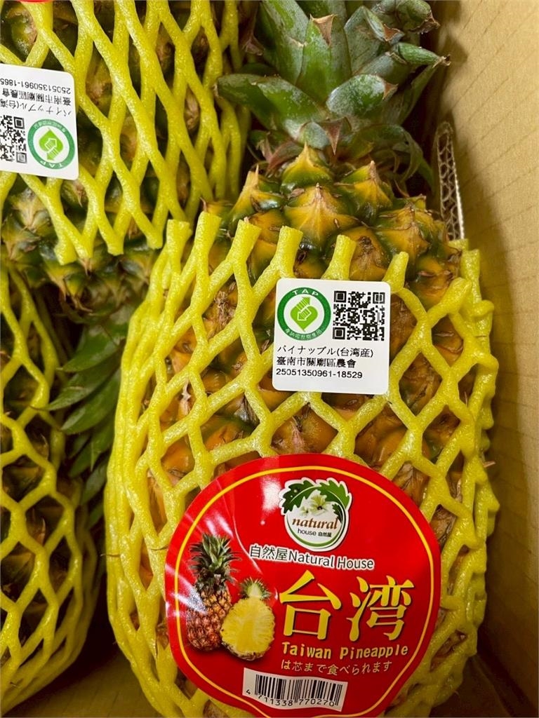 台南締盟城市富良野市空運採購台南「在欉黃」金鑽鳳梨3公噸多
