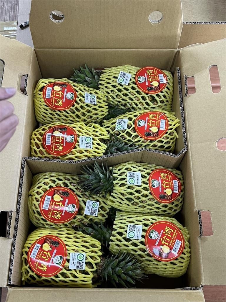 台南締盟城市富良野市空運採購台南「在欉黃」金鑽鳳梨3公噸多