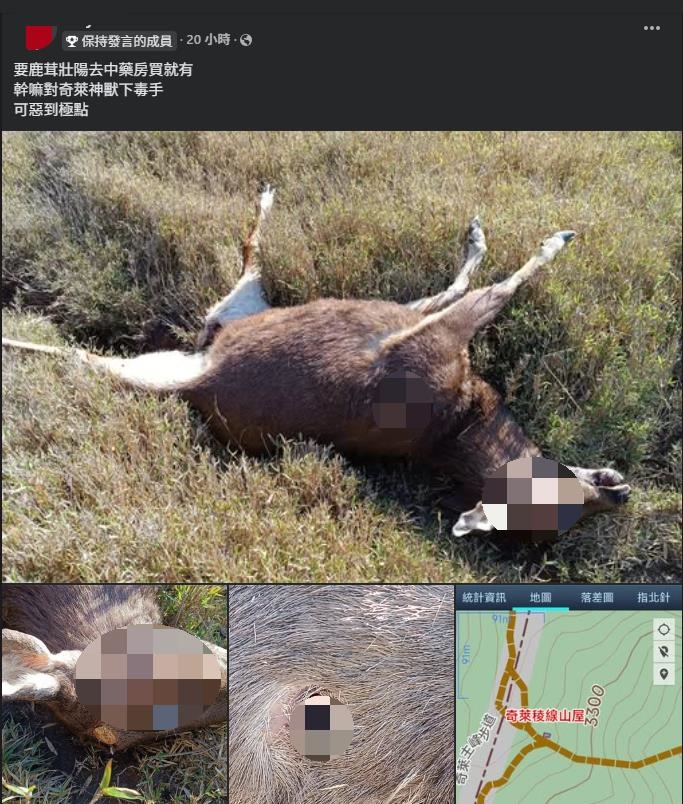 「奇萊山獸神」遭獵殺鹿茸遭鋸!山友怒炸曬「2彈孔照片」官方不忍出手了