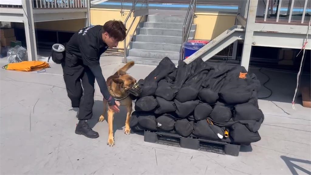世壯運/汪汪隊出任務! 台中警犬隊派4隻偵爆犬 世壯運場地安檢