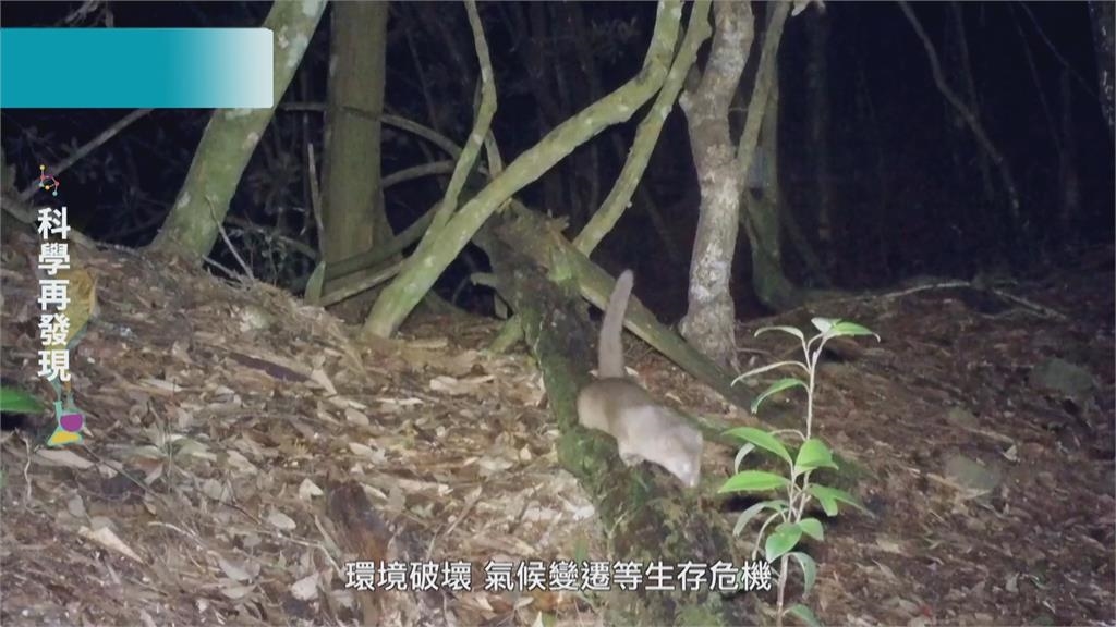 台灣生物多樣性 應落實環境保育