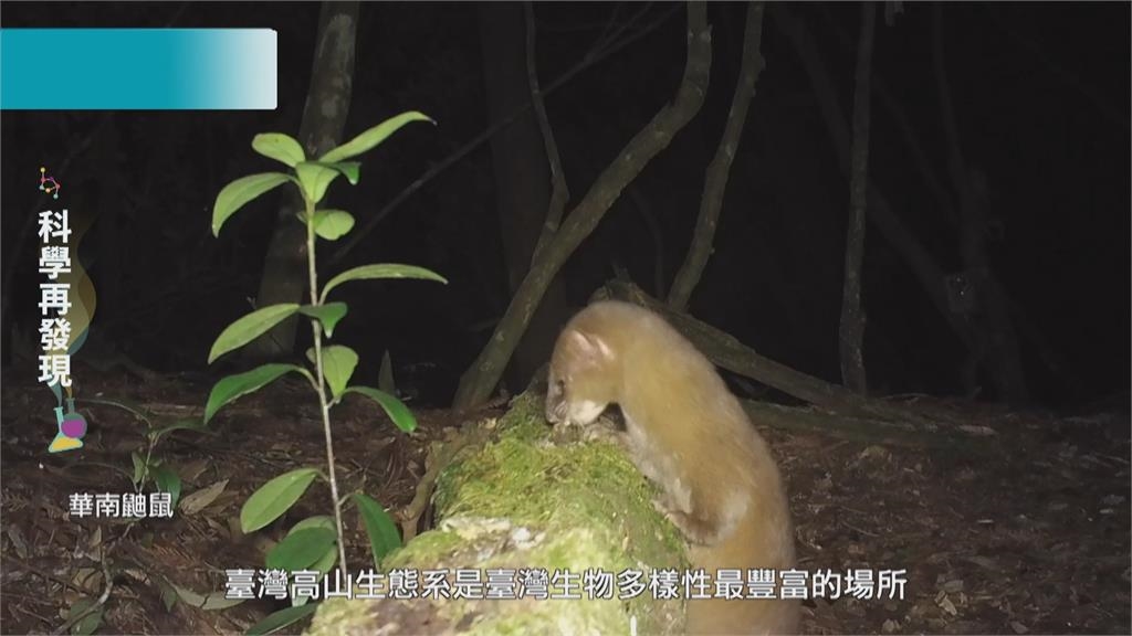 台灣生物多樣性 應落實環境保育